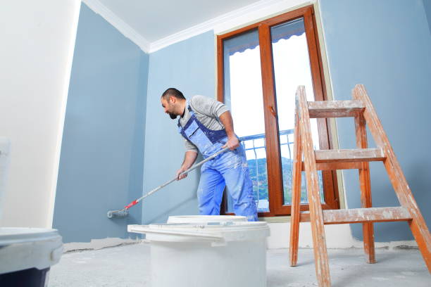 Professional Mold Removal in Candlewick Lake, IL